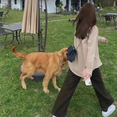 心动的信号第八季